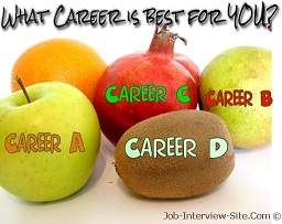 What Career is Best Suit You?