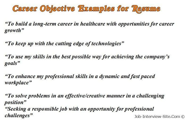 Career objective essay