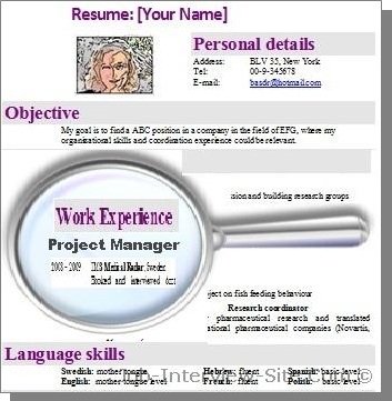 Project Manager Resume Project Manager Resume