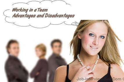 Working in a Team Environment