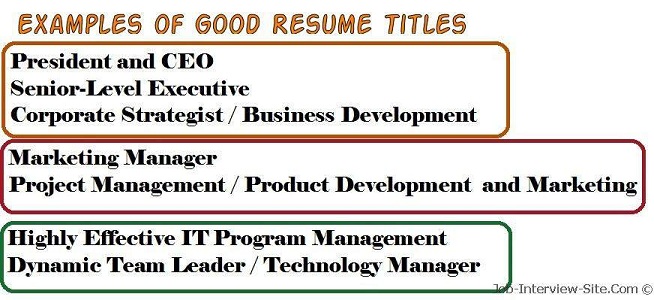 resume title examples of resume titles