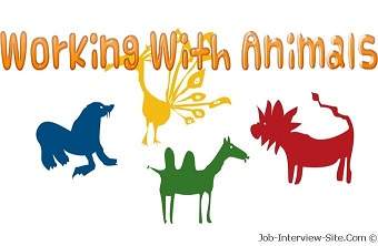 Jobs with Animals: Best Jobs Working With Animals